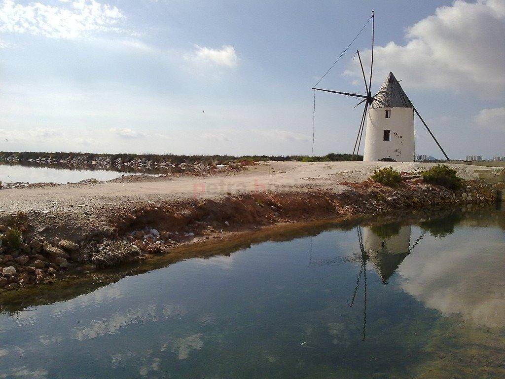 Obra Nueva - Pareada - San Pedro del Pinatar - Las esperanzas