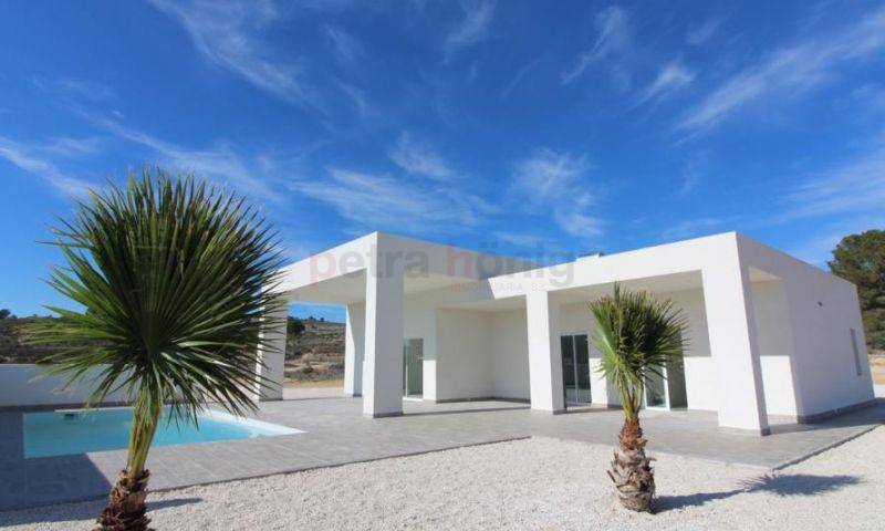 New build - Villa - Pinoso - Centro