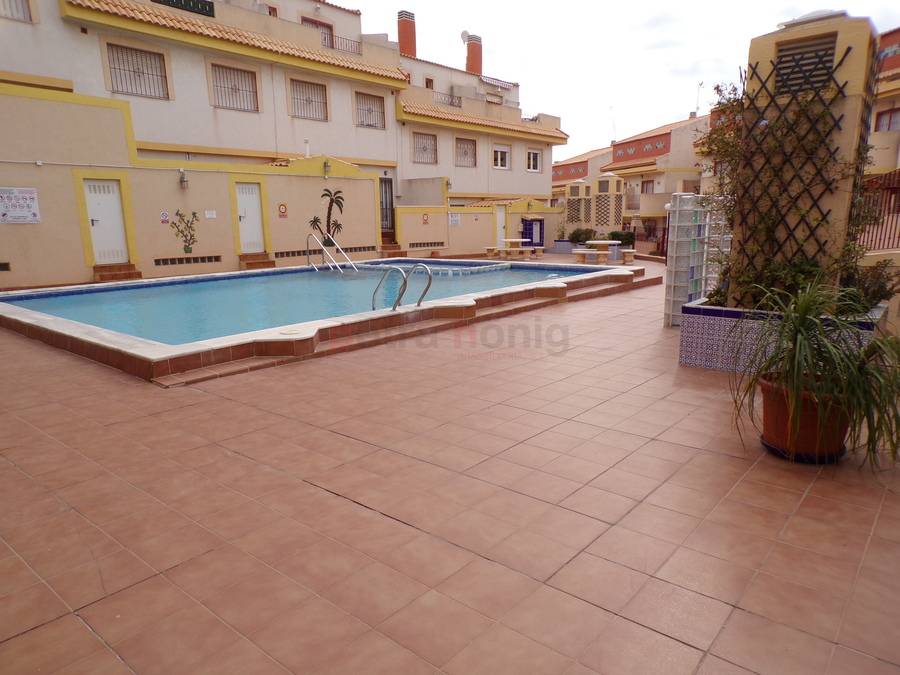 Sale - Finca - La Zenia