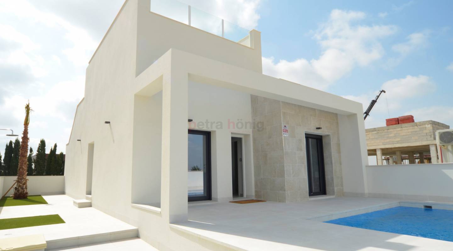 Nouvelle Construction - Villa - Daya Nueva