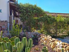 A Vendre - Finca - Crevillente