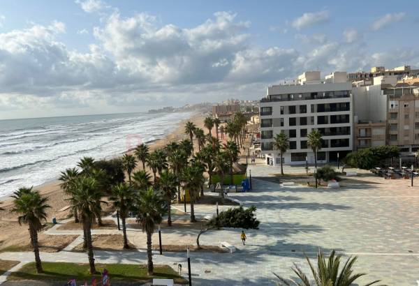 Appartement - Location - Torrevieja - Playa del Cura