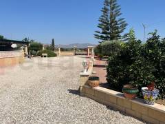 Reventa - Finca - Callosa de Segura