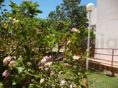 Reventa - Apartamento - Playa Flamenca