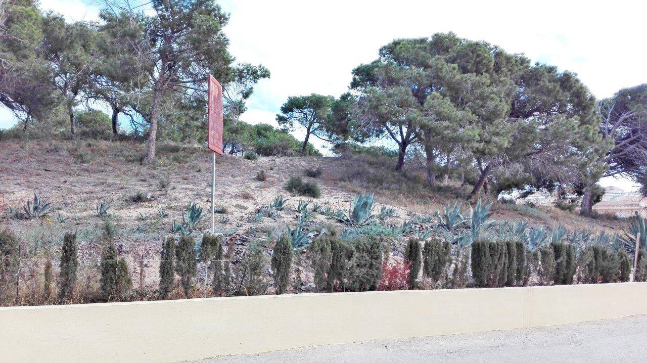 Resales - Bungalow - La Mata