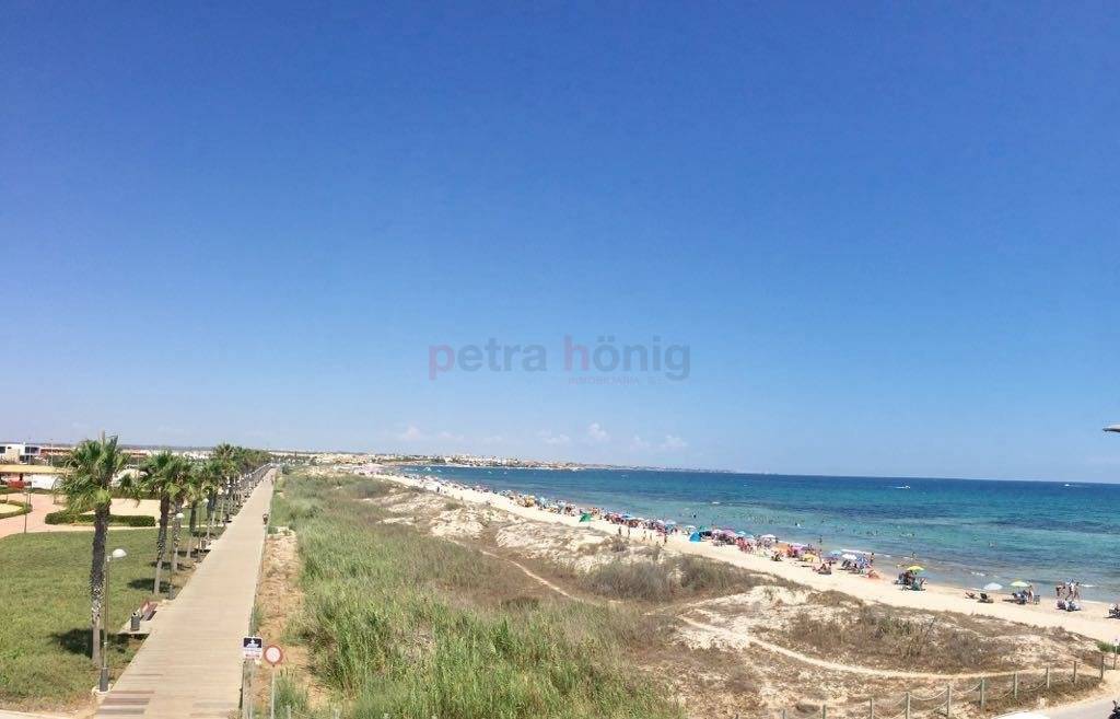 Obra Nueva - Bungalow - Pilar de La Horadada - La Torre de la Horadada