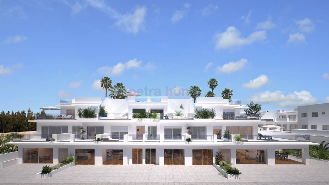 Neubau-Projekte - Apartment - Gran Alacant - Lomas del Carabasi