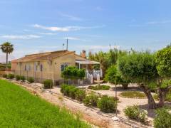 A Vendre - Finca - Dolores