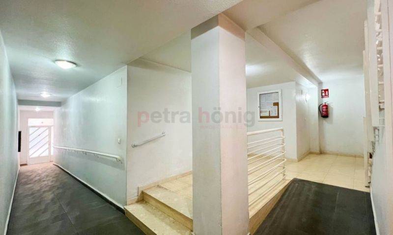 Gebrauchtobjekte - Apartment - Torrevieja