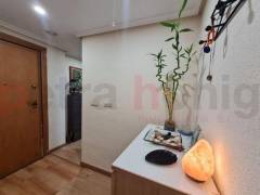 Resales - Apartment - Torrevieja - Estacion de autobuses