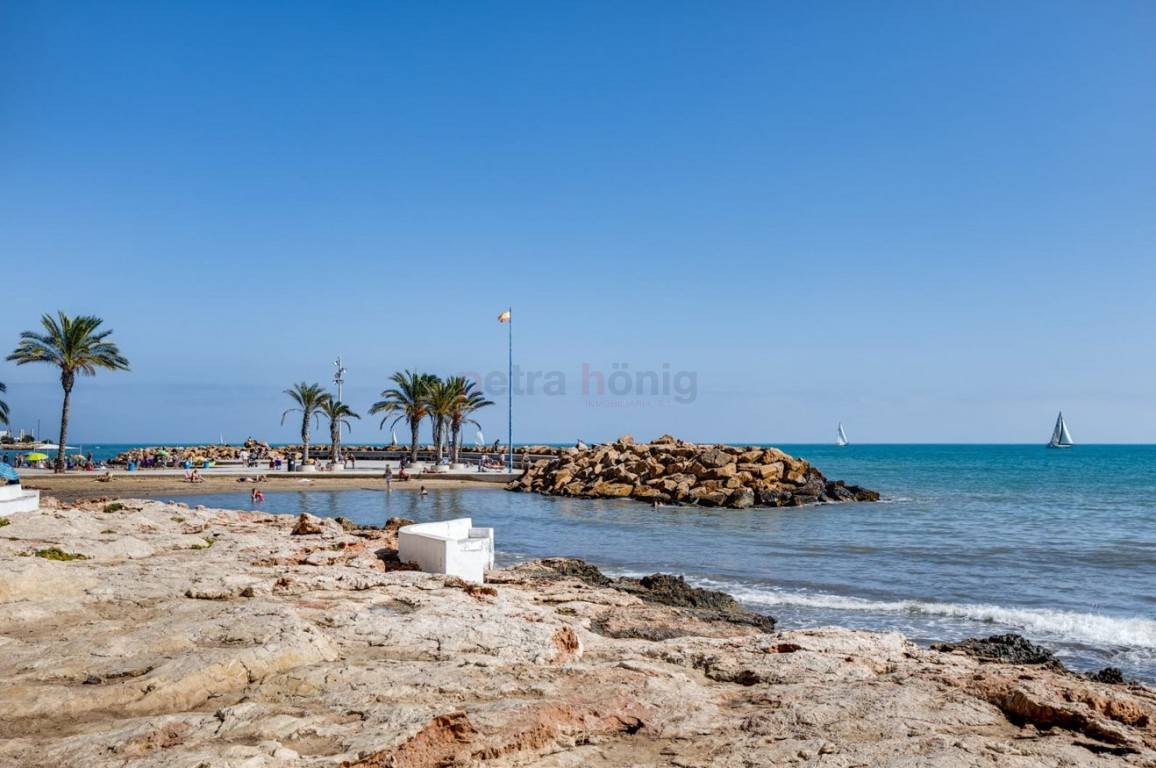 Resales - Apartment - Playa del Cura