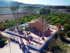 Reventa - Finca - Orihuela Costa - Orihuela