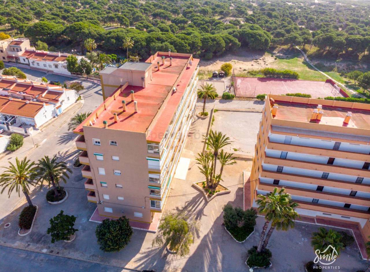 A Vendre - Appartement - Guardamar del Segura - Pinomar