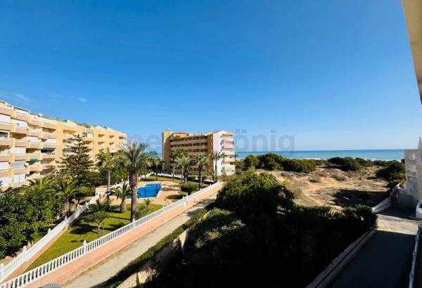 Apartment - Resales - La Mata - La Mata