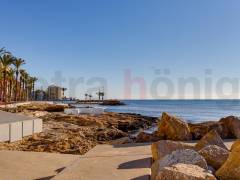 Sale -  квартира - Torrevieja - Playa de Los Locos-Curva del Palangre