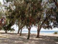 новый -  квартира - Villajoyosa - Playas Del Torres