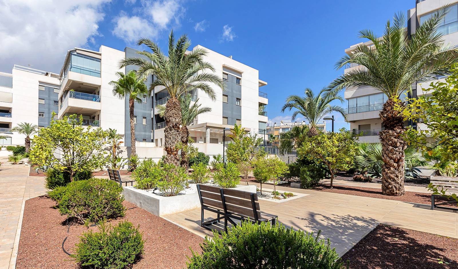 Reventa - Apartamento - Orihuela Costa - Villamartin