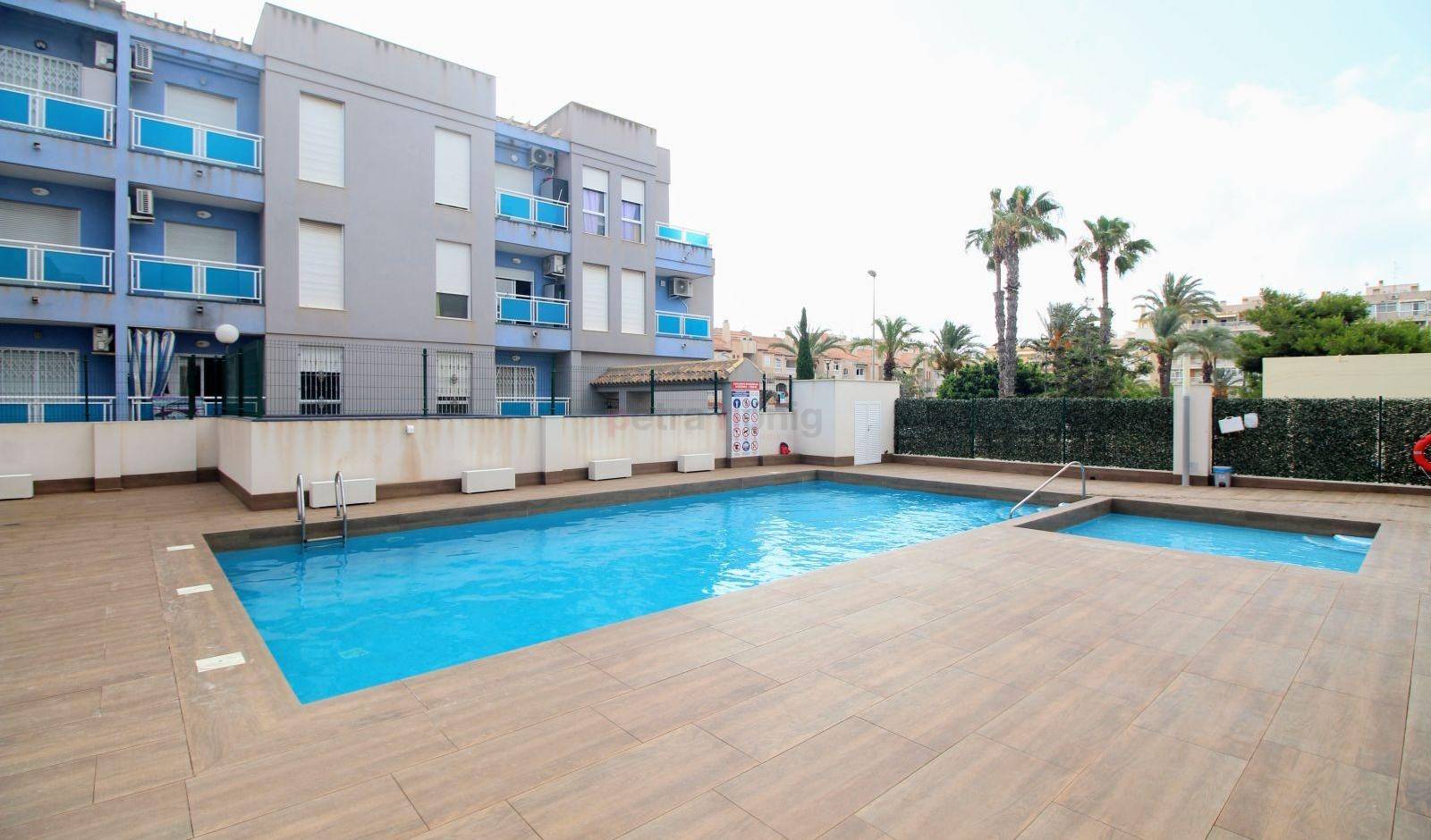 A Vendre - Appartement - Torrevieja - Estacion de autobuses