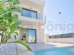 New build - Villa - Guardamar del Segura - Els secans