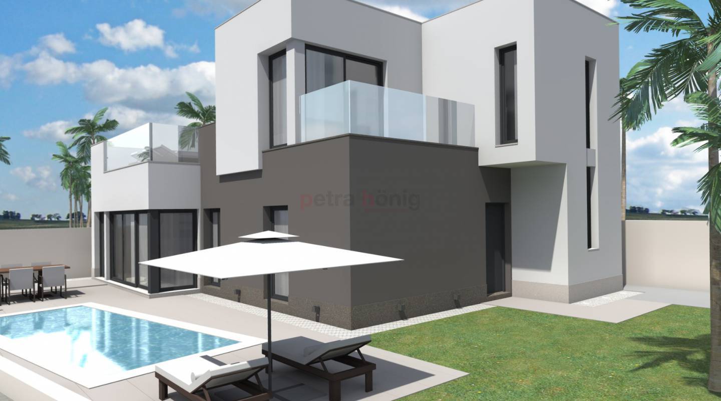 Neubau-Projekte - Einfamilienhaus - Torrevieja - Aguas Nuevas