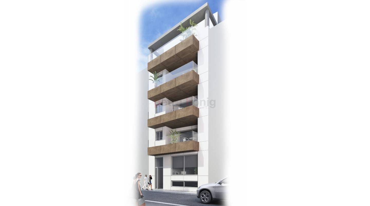Neubau-Projekte - Apartment - La Mata