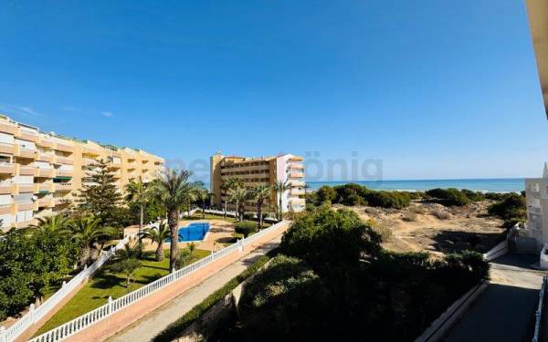 Apartment - Resales - La Mata - La Mata