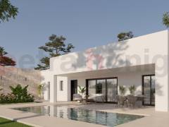 New build - Villa - Pinoso - Lel