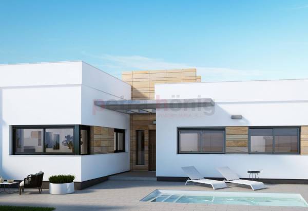Villa - New build - Other areas - Torre-pacheco