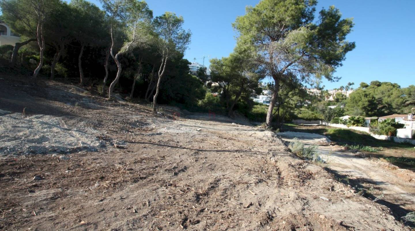 Nouvelle Construction - Villa - Moraira