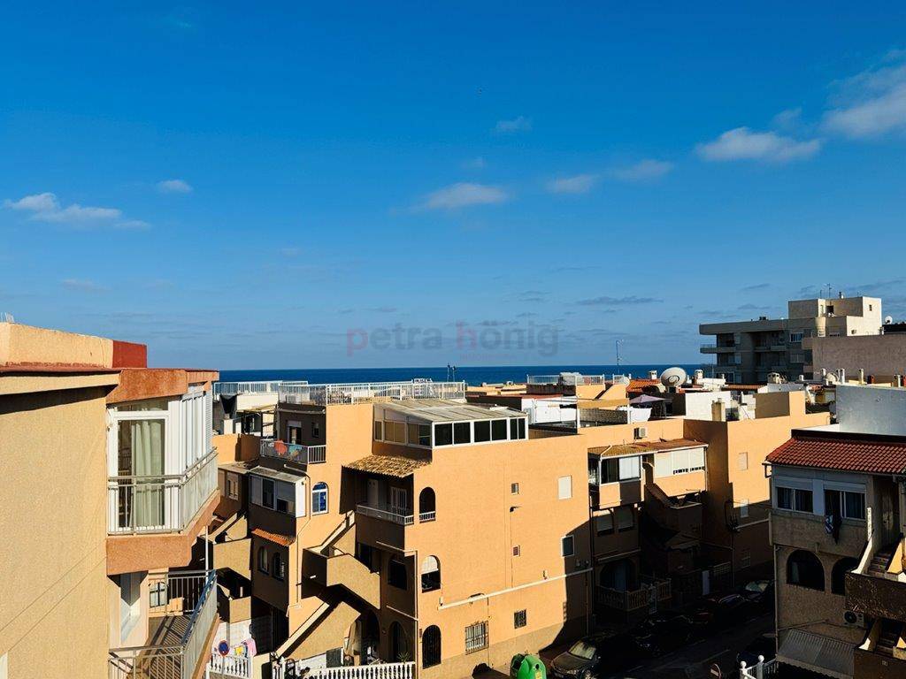 Gebrauchtobjekte - Apartment - La Mata