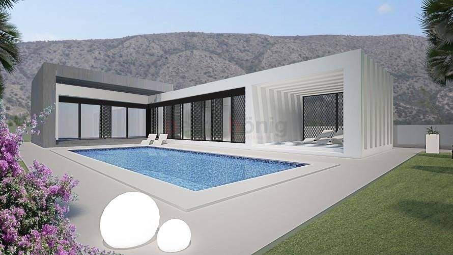 Obra Nueva - Chalet - Pinoso - CULEBRON