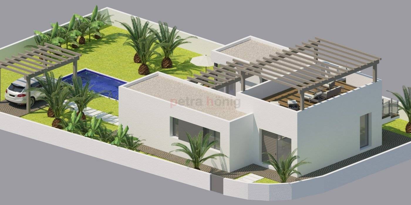 Nouvelle Construction - Villa - Benijófar - Benijofar