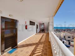 Gebrauchtobjekte - Apartment - Torrevieja - La Mata