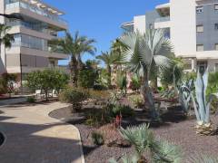 Resales - Apartment - Orihuela Costa - Villamartin