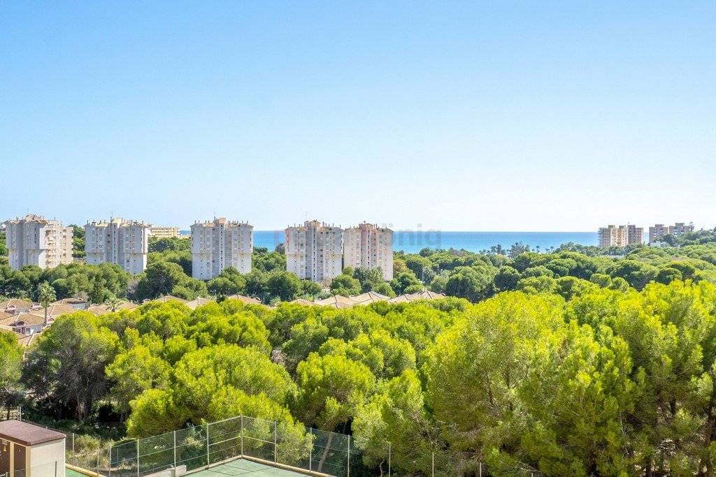 A Vendre - Appartement - Orihuela Costa - Altos de campoamor