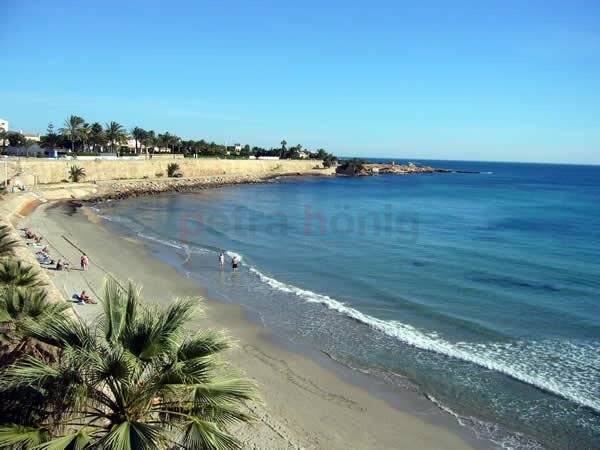 Nouvelle Construction - Villa - San Miguel de Salinas - Blue Lagoon