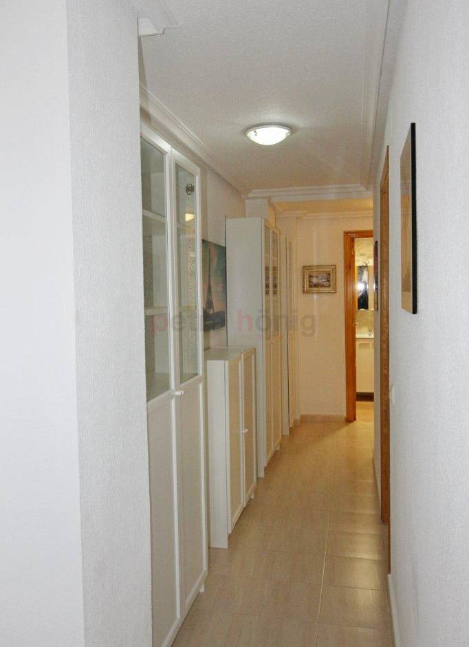 Gebrauchtobjekte - Apartment - La Mata