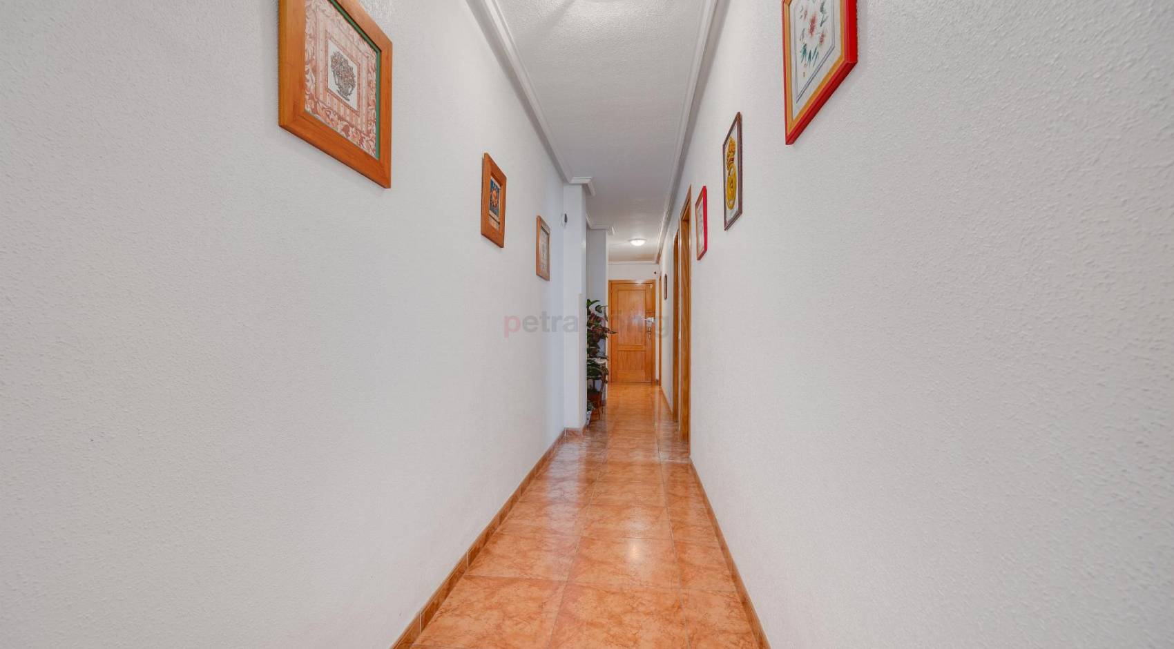 Gebrauchtobjekte - Apartment - Torrevieja - Centro