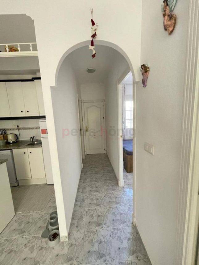 Resales - Appartement - Torrevieja - Los Frutales