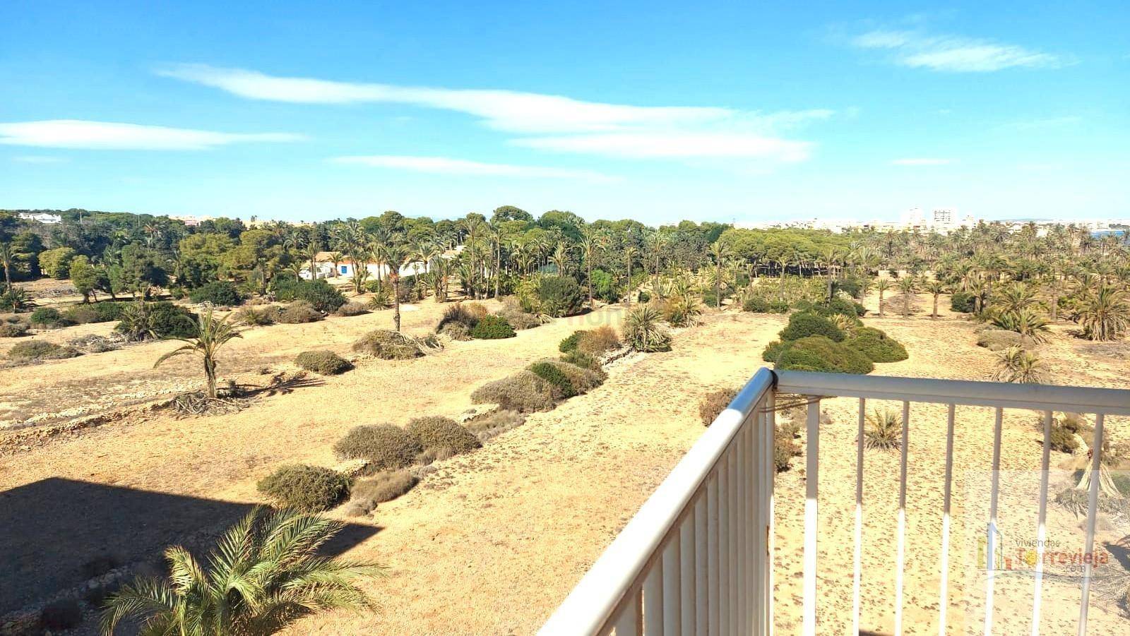 Resales - Lägenhet - Torrevieja - Punta Prima