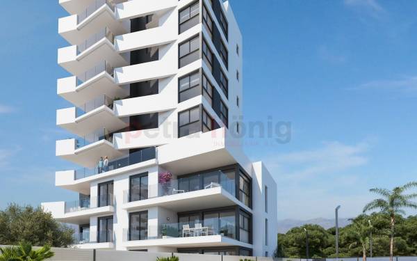 Apartamento - Obra Nueva - Guardamar del Segura - puerto deportivo