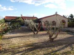 Sale - Finca - Catral