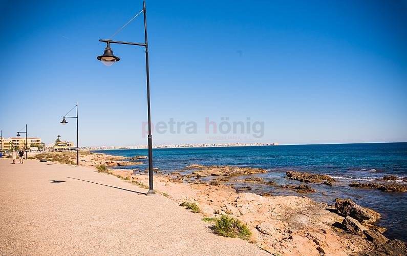 Neubau-Projekte - Einfamilienhaus - Orihuela Costa - Punta Prima