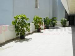 New build - Apartment - Malaga - Costa del Sol