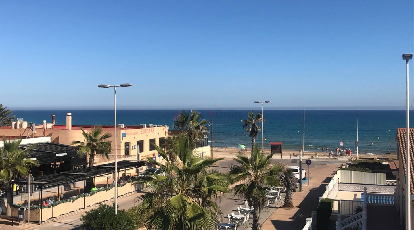 ny - Villa - La Mata