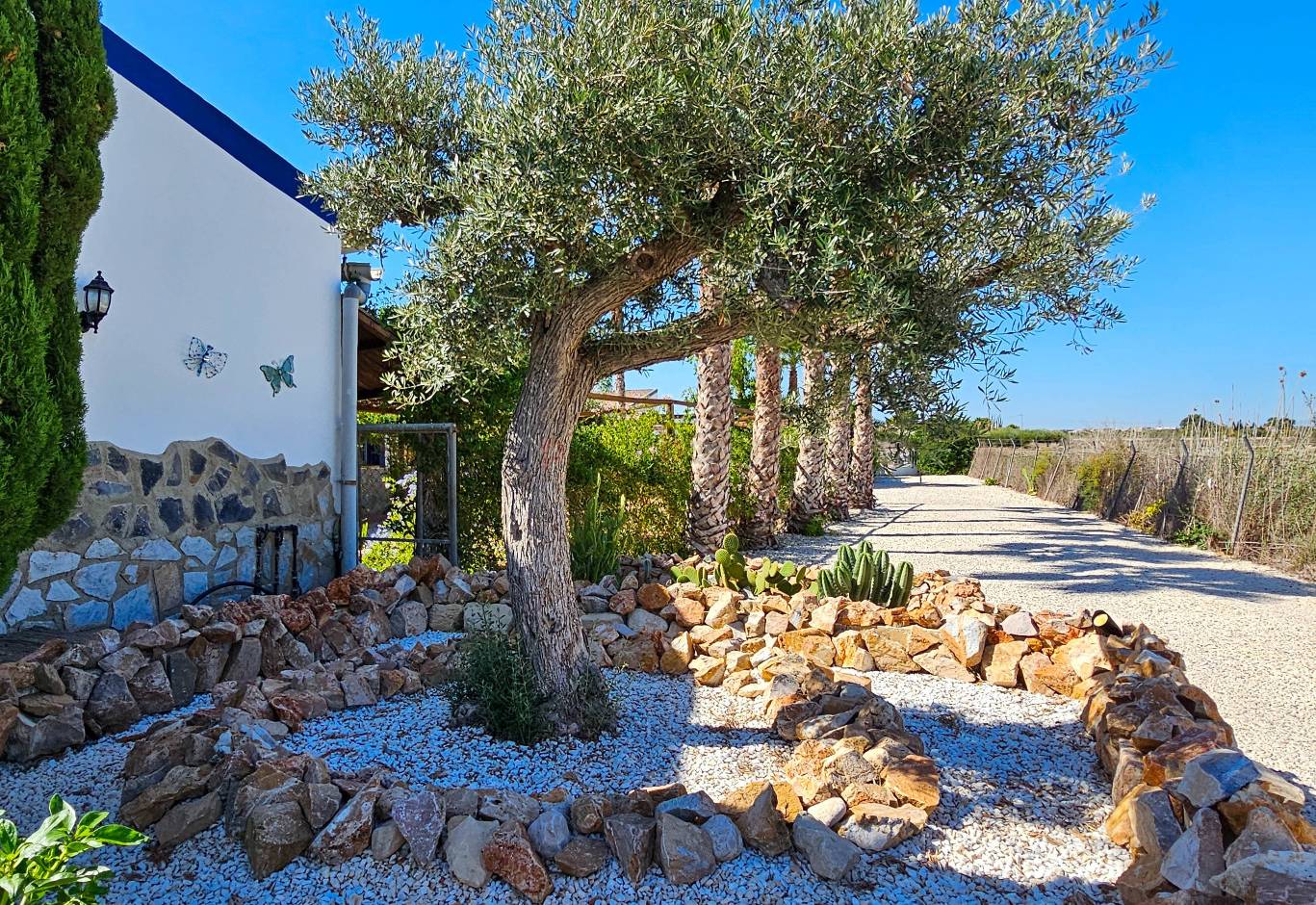 A Vendre - Finca - Crevillente