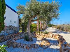 A Vendre - Finca - Crevillente