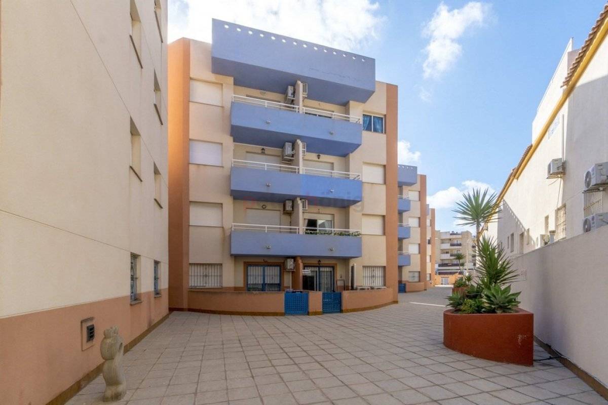 Gebrauchtobjekte - Apartment - Orihuela Costa - Cabo Roig