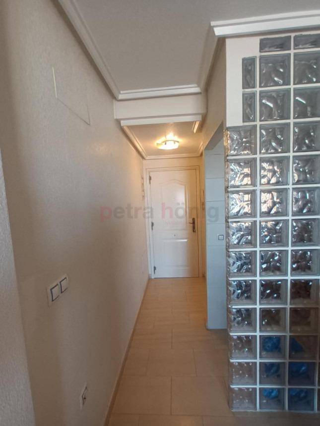 A Vendre - Appartement - Torrevieja - Sector 25