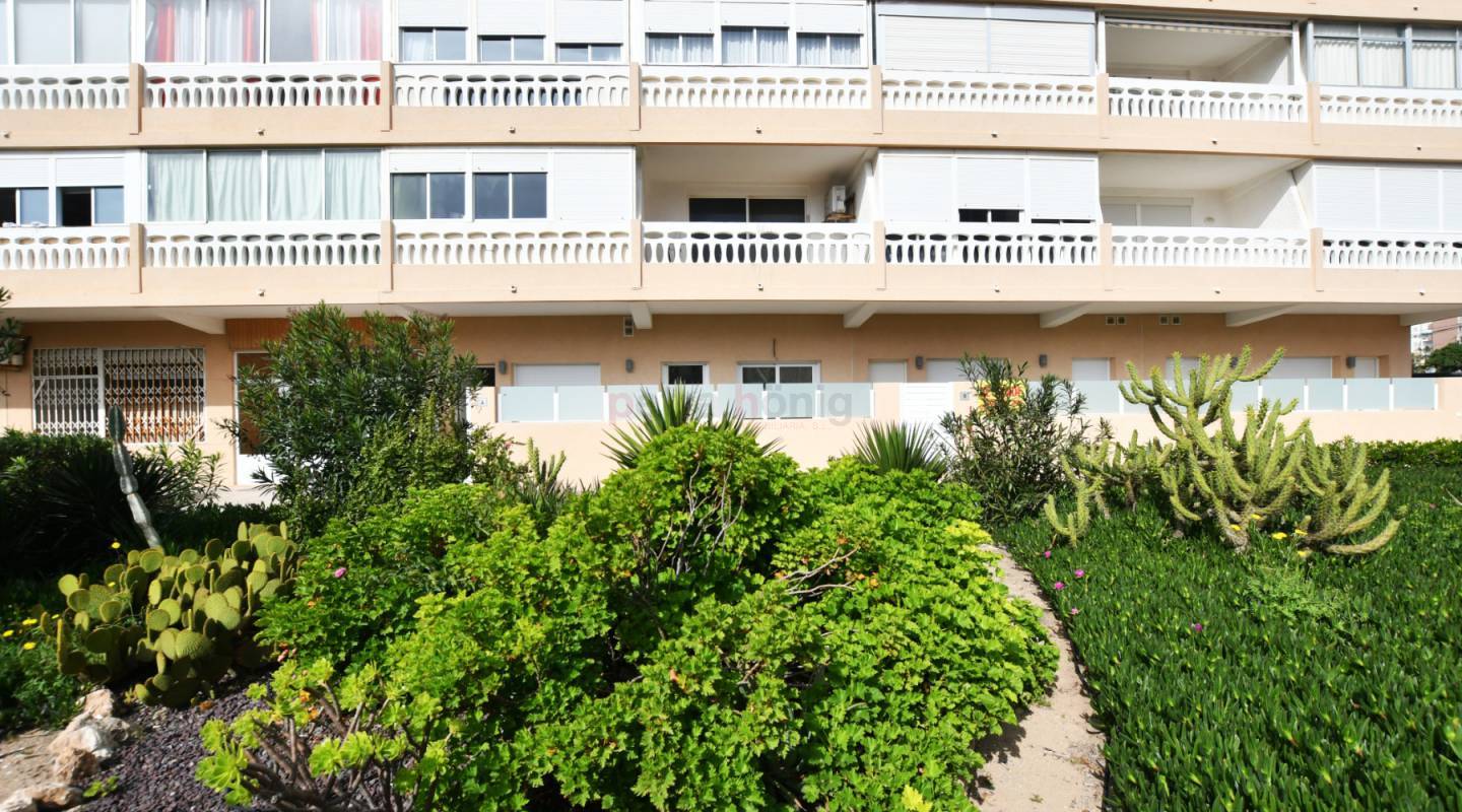 nieuw - Appartement - Torrevieja - La Mata